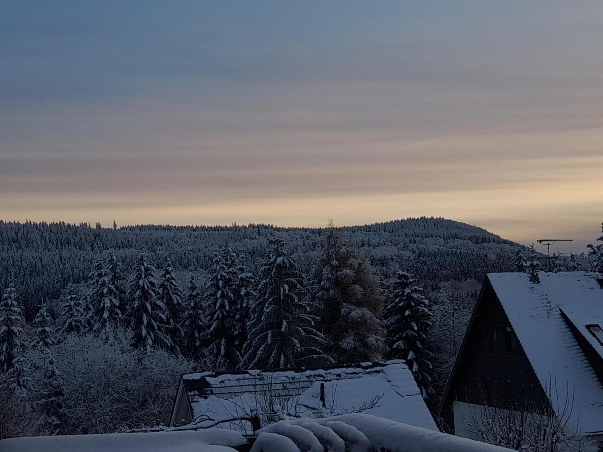 Fewo Naturgetreu Medebach Dış mekan fotoğraf